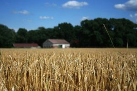 agricoltura in crisi