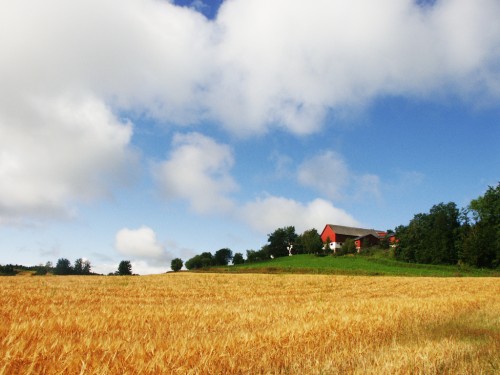 settore agroalimentare