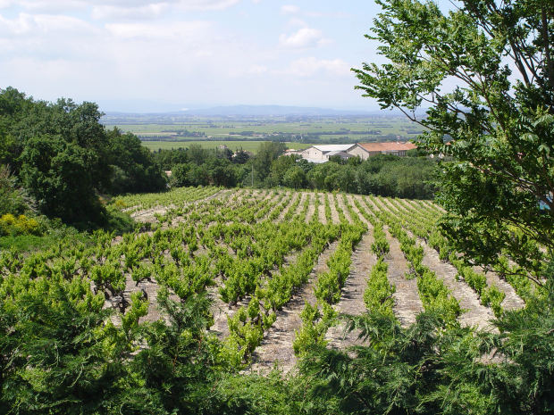 bando, terreni agricoli