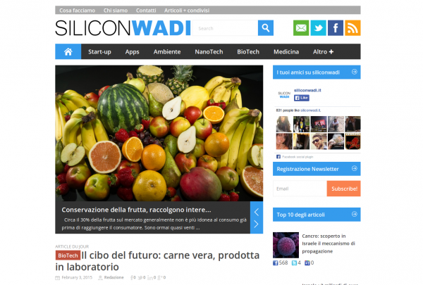 siliconwadi