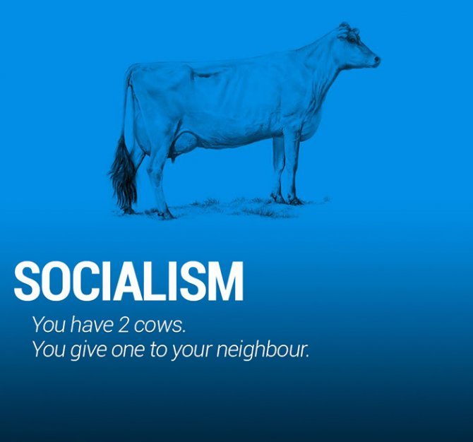 corperation-economies-explained-cows-ecownomics-181__700-670x626