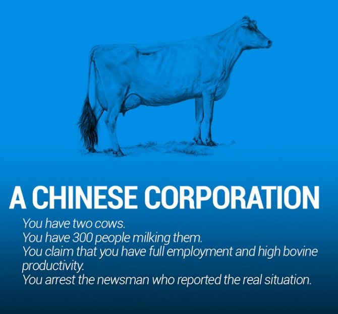 corperation-economies-explained-cows-ecownomics-21__700-670x624