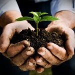 Aumenta il numero dei finanziamenti green a disposizione delle imprese