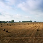 Valore Agricoltura, la polizza Generali per gli agricoltori