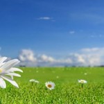 Pasqua 2016: feste con il segno meno