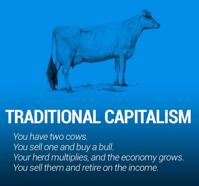 corperation-economies-explained-cows-ecownomics-112-670x626