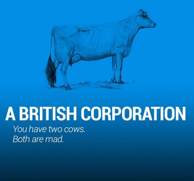 corperation-economies-explained-cows-ecownomics-23__700-670x627