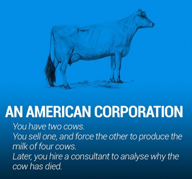 corperation-economies-explained-cows-ecownomics-27__700-670x625
