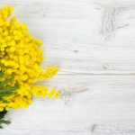 Donne e lavoro, le indagini sulla parità  dei sessi